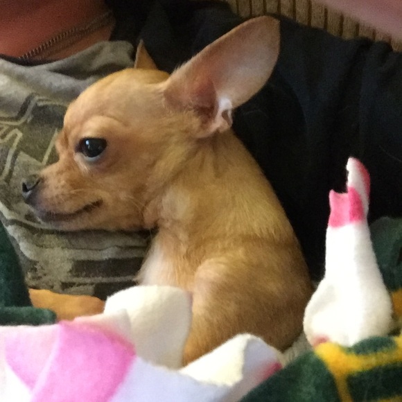 Sale 20% Off Everything Today - Picture 7 of 8